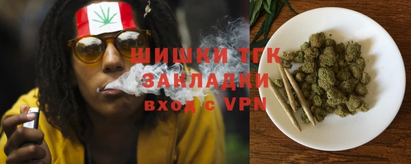 твердый Алзамай