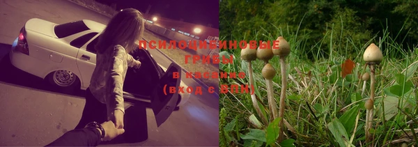 бутик Пересвет