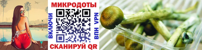 купить наркотик  Сусуман  Псилоцибиновые грибы MAGIC MUSHROOMS 