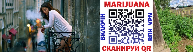 Конопля конопля  Сусуман 